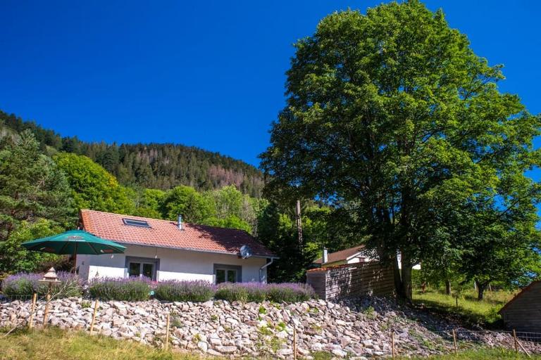Le Valtin Gite au calme - Chambres d'hôtes Le Valtin