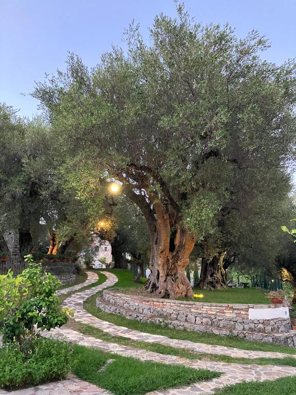 Pie' d'Ulivo - B&B Bosco