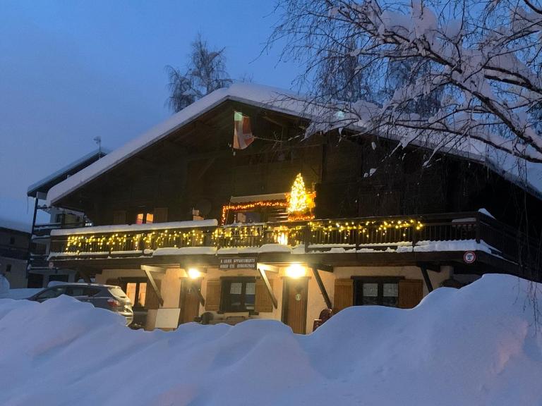 APPARTEMENT VUE SUR LES PISTES Aux SAISIES 4 - B&B Les Saisies