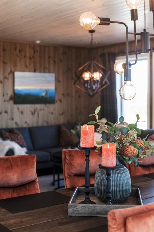 Golsfjellet - Bualie, milevis med sykkelveier, fiske og vannaktivitet, ski inn/ut til alpinanlegg og langrennsløyper. - Ferienwohnung Gol