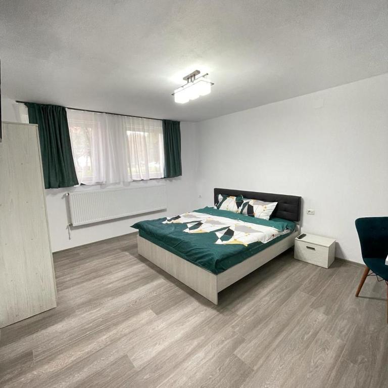 Studio Ali with parking - B&B Zarnesti