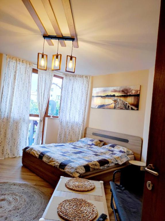 vins studio - Chambres d'hôtes Bansko