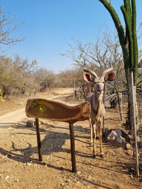 Shebamona No loadshedding - Ferienwohnung Marloth Park