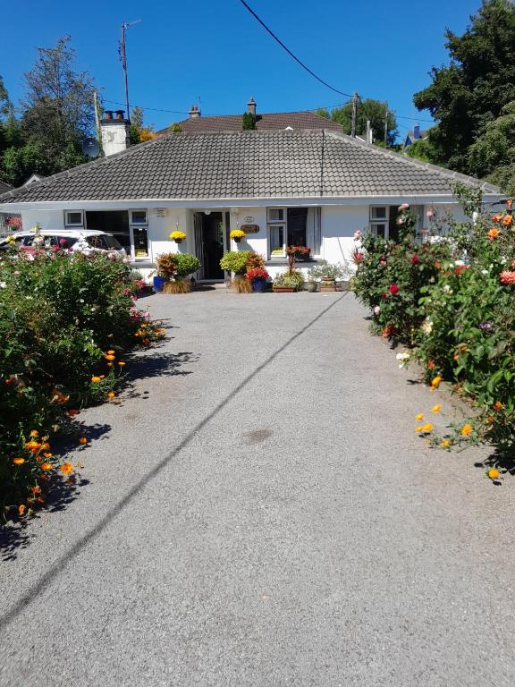 Saint Martin's Bed and Breakfast - B&B Bandon