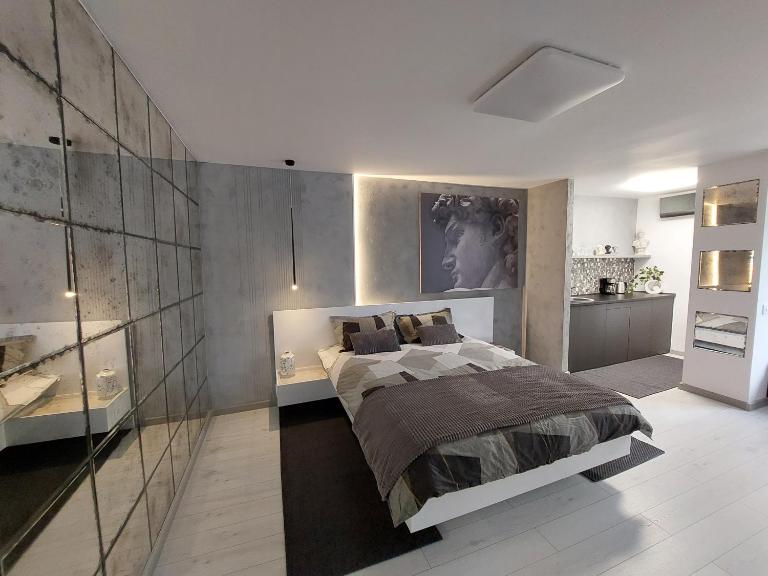 DAVID's studio - B&B Timisoara