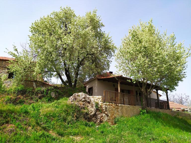 Μικρή Ζήρεια Ενοικιαζόμενη Κατοικία - B&B Mési Sinoikía Trikálon