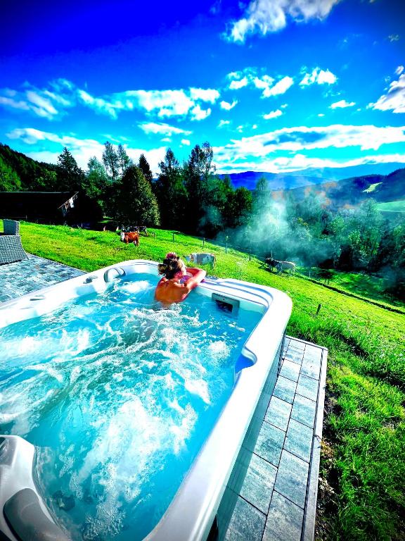 Chalet Bergblick - B&B Sankt Blasen
