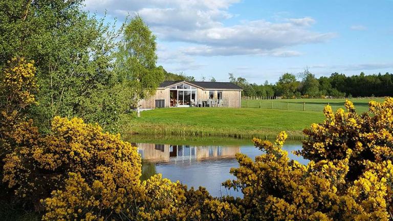 Fern Lodge - Luxury Lodge with steamroom in Perthshire - B&B Perth