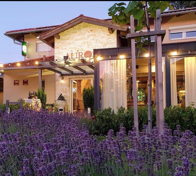 Aurora Panzió - B&B Bük