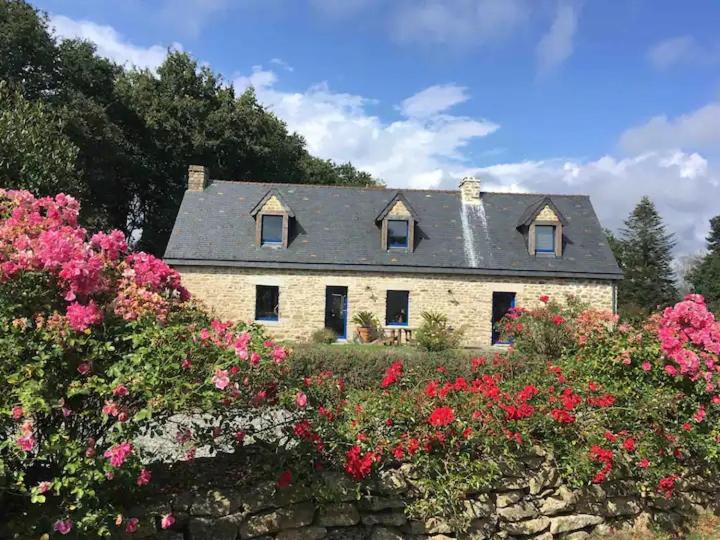 TY Fine Rose - B&B Riec-sur-Belon