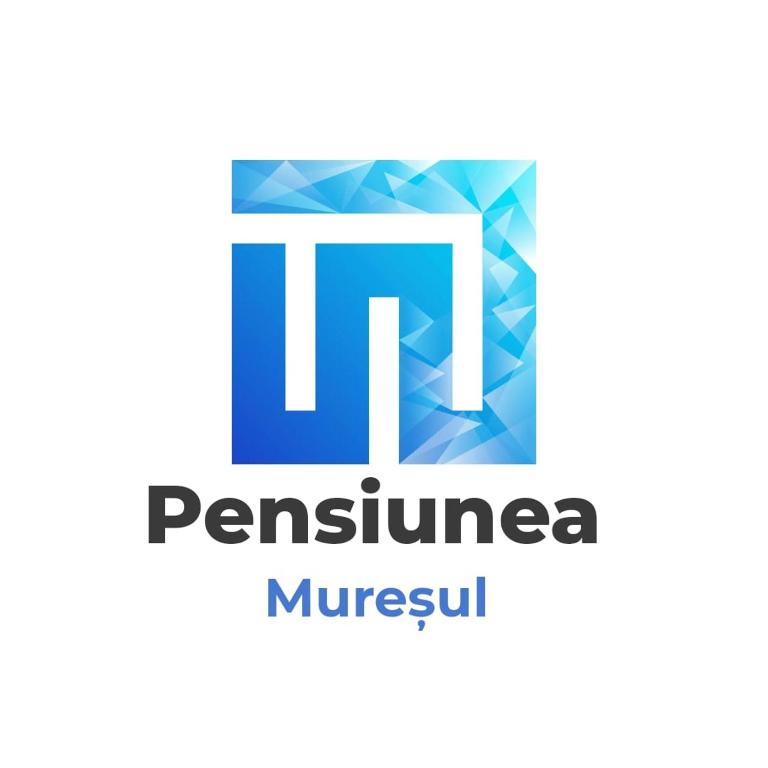 Pensiunea Muresul - B&B Târgu Mureş