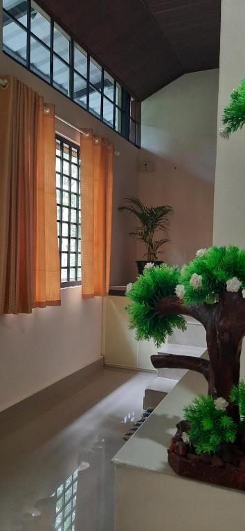 NEST Mdy - B&B Mananthavady