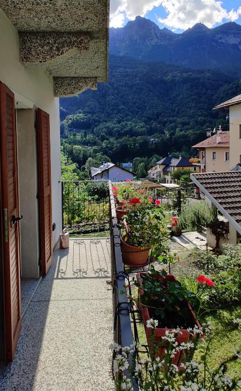 Casa Vacanza Beltrami - B&B Baceno