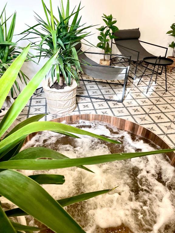 Thermal Apartmanok Ráday 4 - Namaste - Chambres d'hôtes Hajdúszoboszló