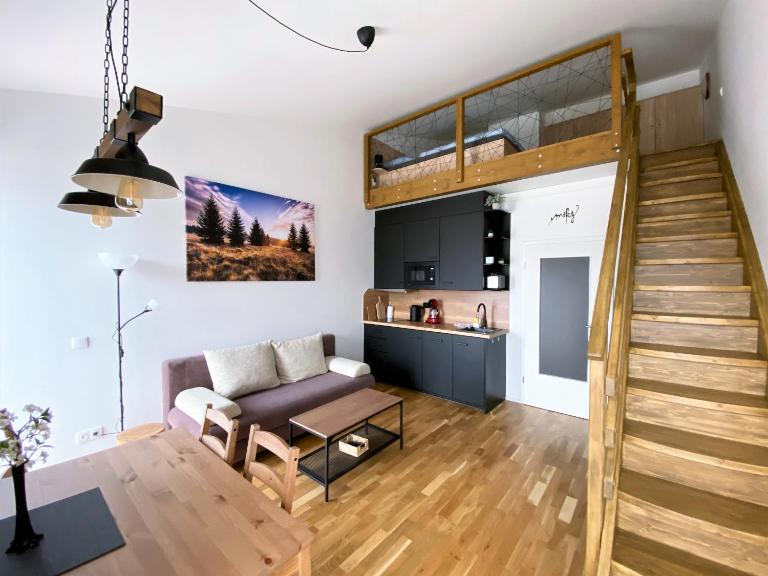Miky Apartmán Klínovec view - Bed and Breakfast Loučná pod Klínovcem