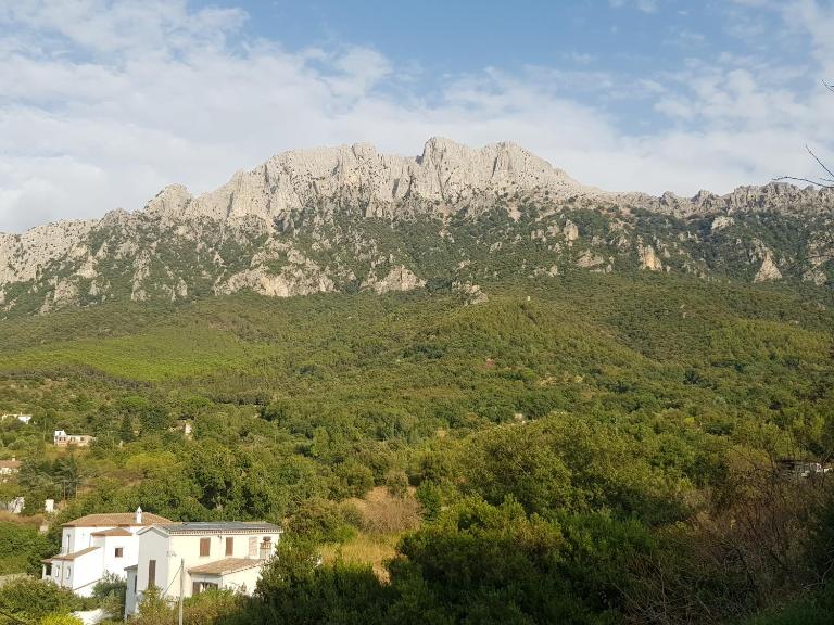 Sweet Home - B&B Oliena