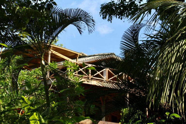 Eden Jungle Lodge - Chambres d'hôtes Bocas del Toro