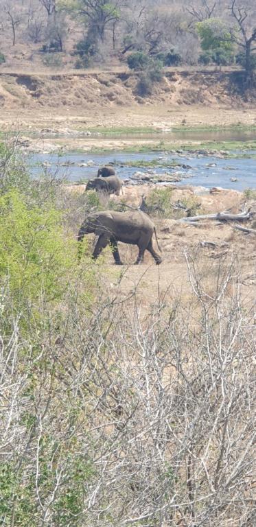 Stoep At Kruger - Bed and Breakfast Komatipoort