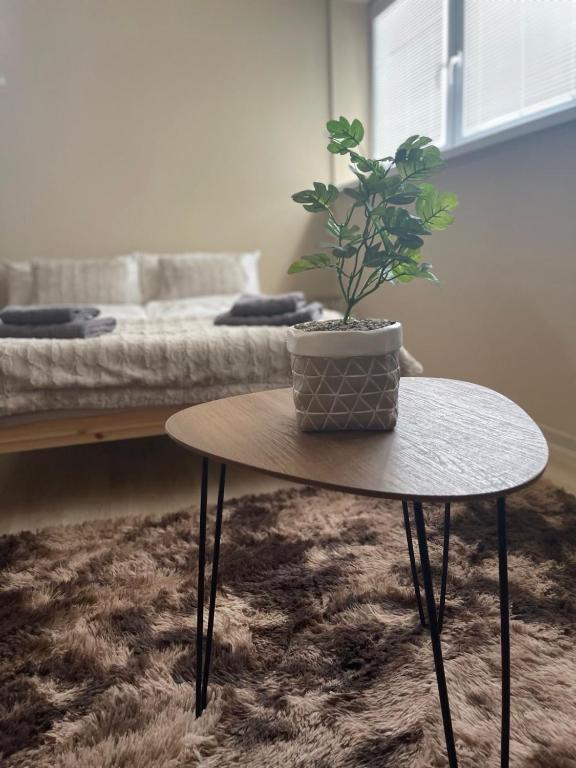 Garzon/ Studio apartment - B&B Šahy