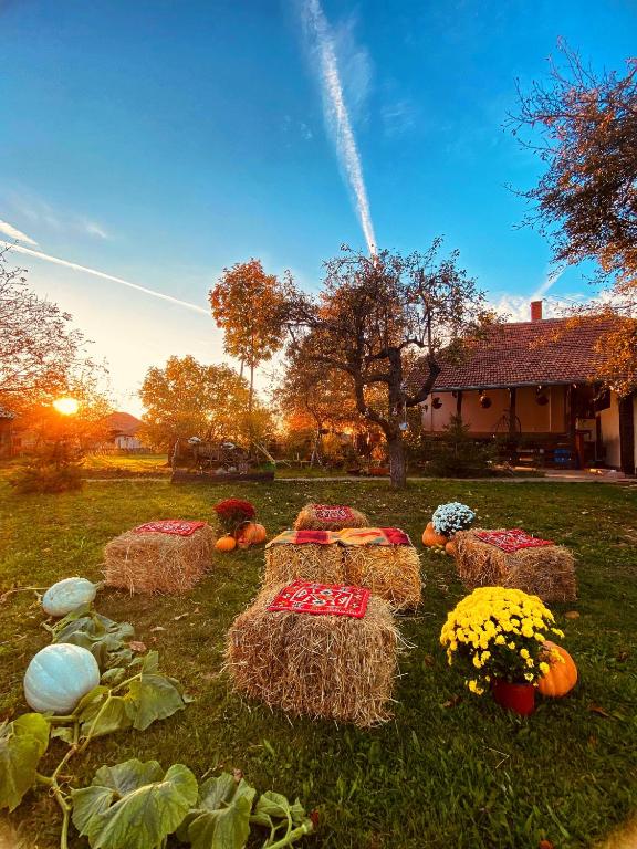 Bukovički mir - Bed and Breakfast Aranđelovac