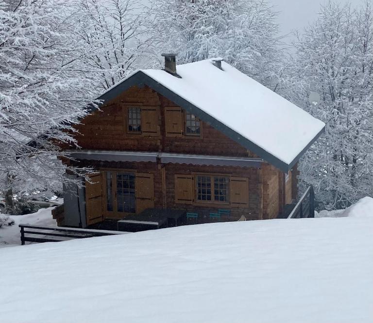 CHALET 6 PERSONNES SUR PISTE - Ferienwohnung Boutx