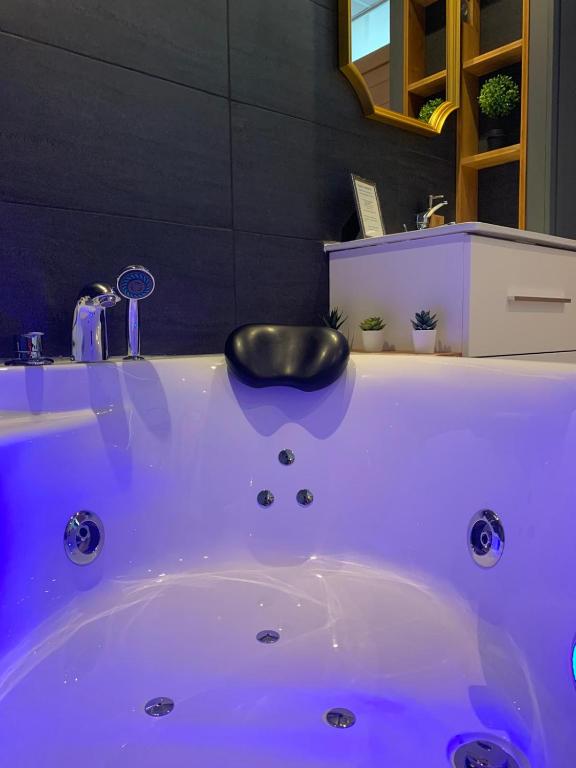L'Appart d'Hugo - Bed and Breakfast Chambéry