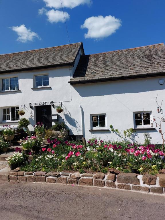 The Millers Cottage - Chambres d'hôtes Okehampton