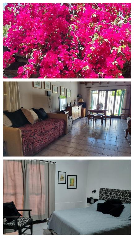 La casa de Chiqui - B&B Mendoza