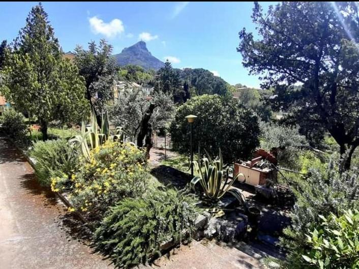 Casa vacanze da Cristina app B - B&B Maratea