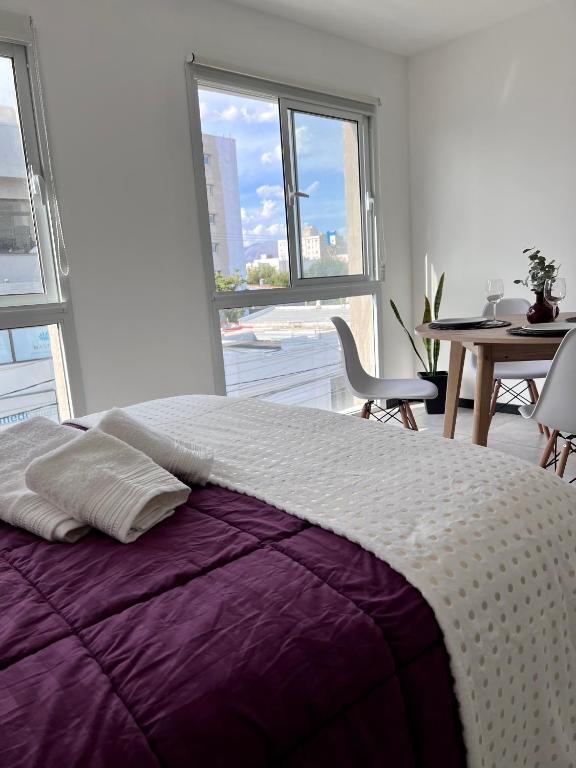 SAN LUIS CENTRO Departamento monoambiente - Ferienwohnung San Luis