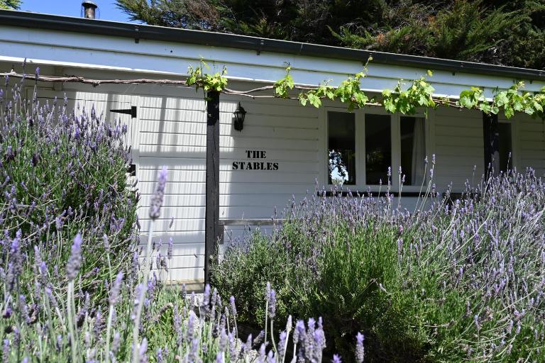 St Leonards Vineyard Cottages - B&B Blenheim