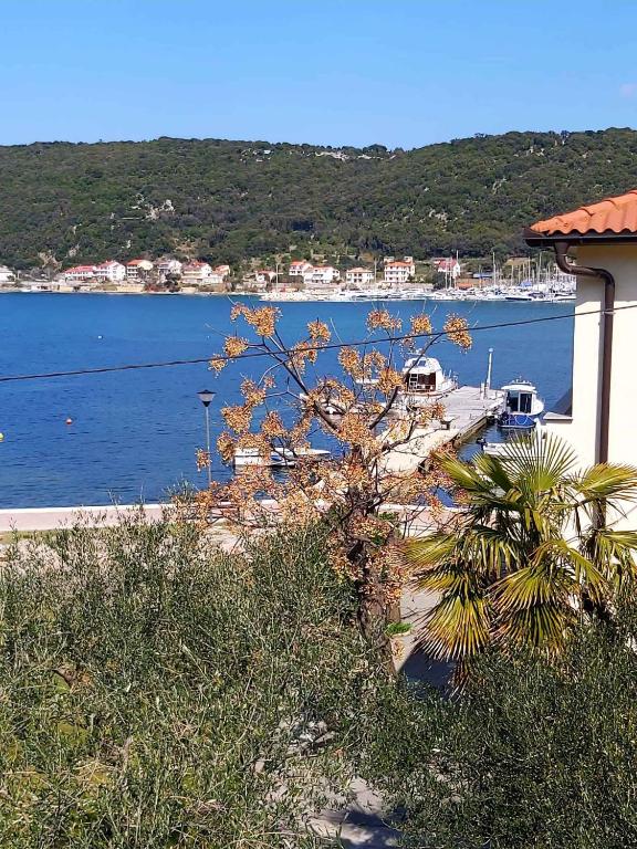 Apartment in Supetar - Insel Brac 42678 - Ferienwohnung Supetarska Draga