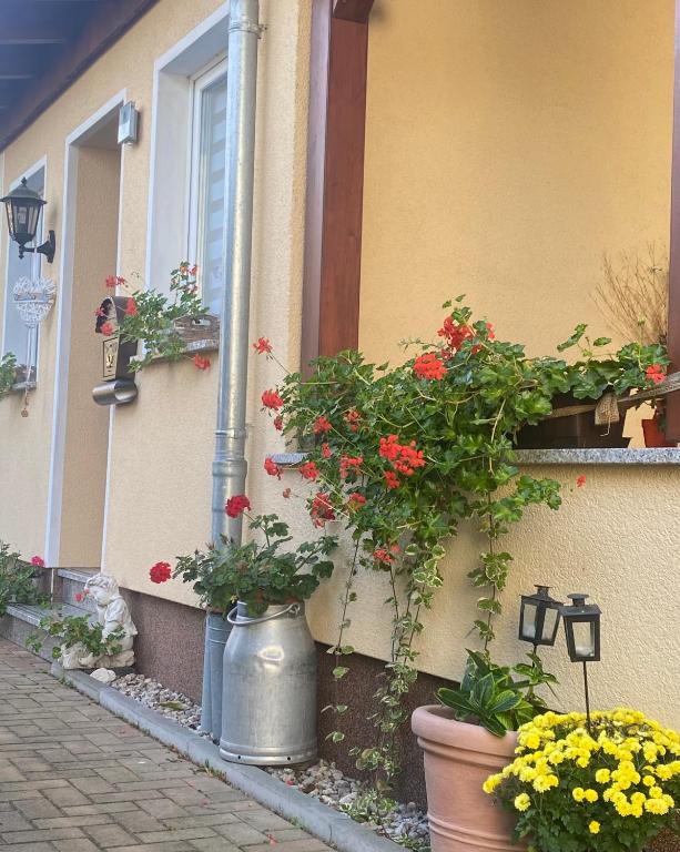 Ferienwohnung „Thea“ - B&B Bad Lausick