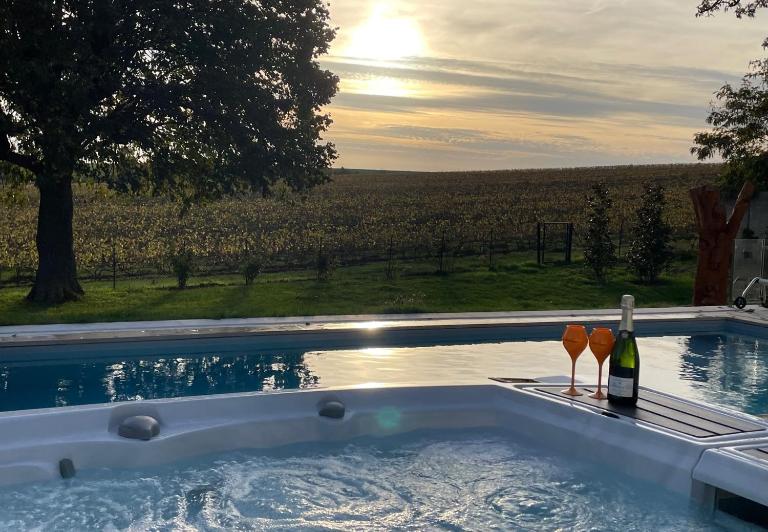 Best view, pool and spa on the Champagne vineyard - B&B Saint-Thierry