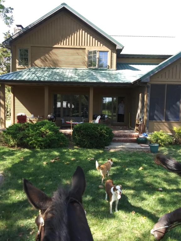 Happy Ass Farm - B&B Fort Scott