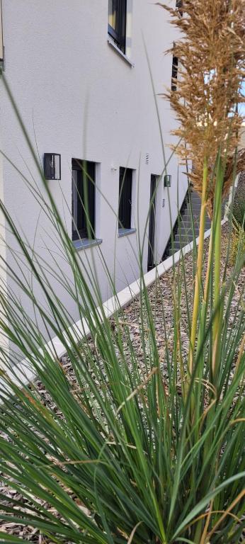 Apartment am Weinberg Kleinaspach - B&B Aspach