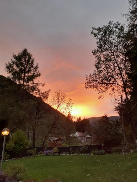 Soggiorno Vacanze Stella Alpina - B&B Temù