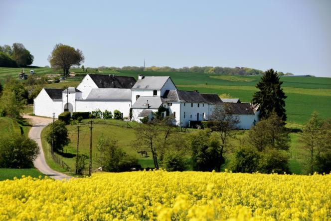 La ferme de Basseilles - Bed and Breakfast Mozet