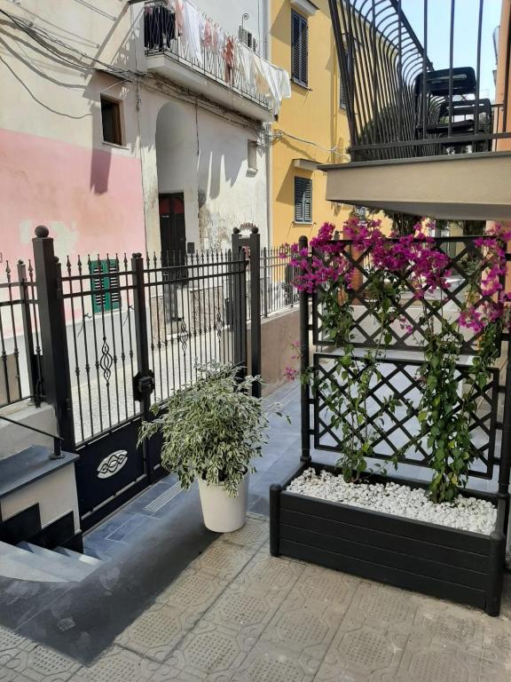 La Magnolia Rooms - B&B Procida