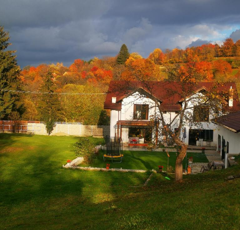 Casa din vale - B&B Bran