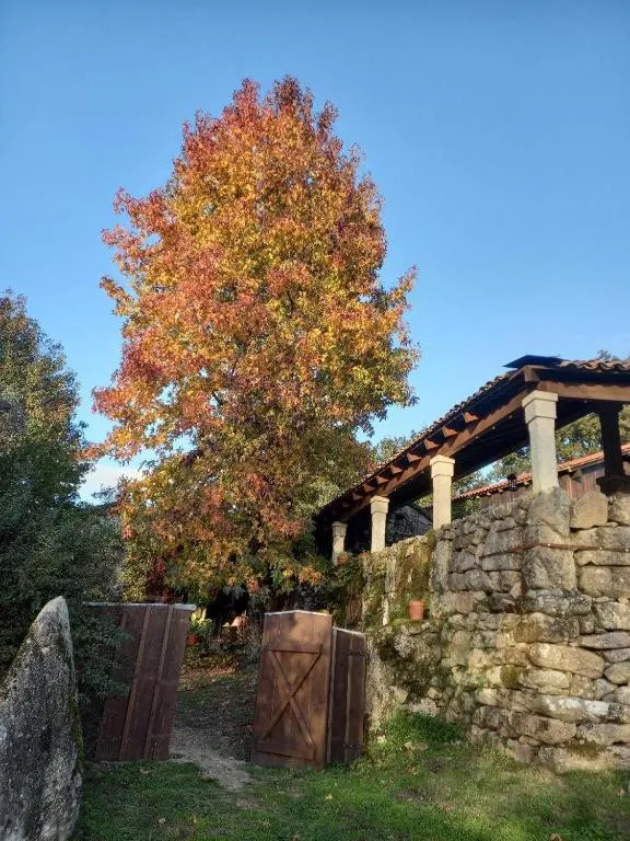 Veiga Mariña - B&B Pontevedra
