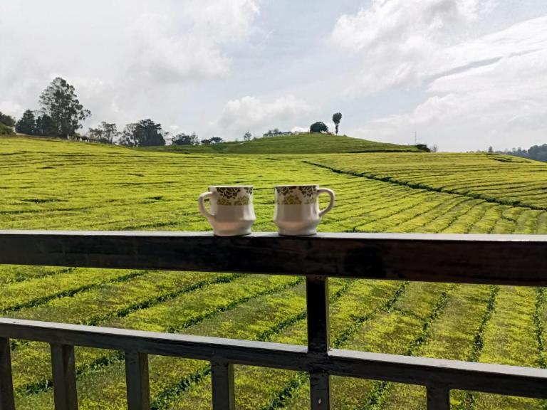 Tea Estate view stay - Ferienwohnung Udagamandalam