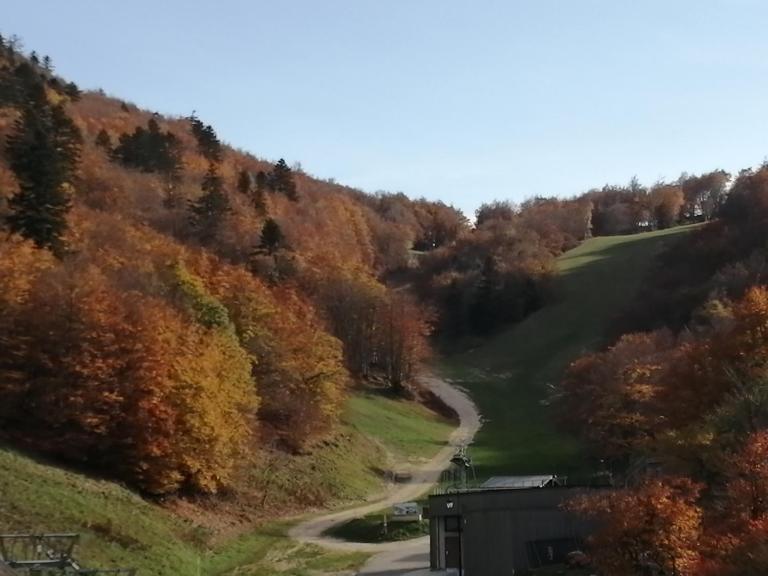 petit nid montagnard - Ferienwohnung Rousset