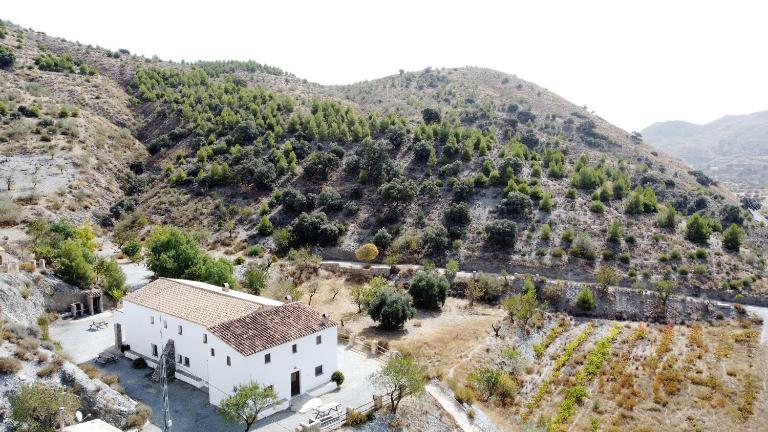Casas Rurales Cortijo Leontino - B&B Taberno