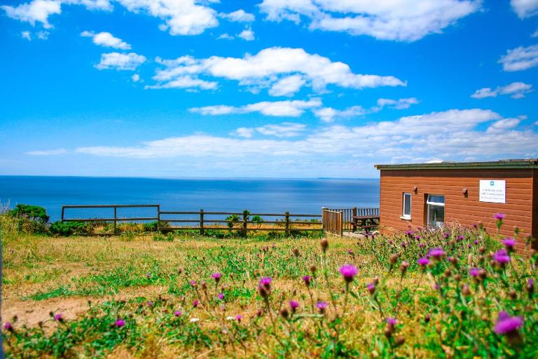 Sunset sea view chalet with hot tub - B&B Torpoint