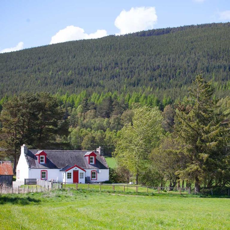 The Croft Cottage - near Aviemore - B&B Aviemore