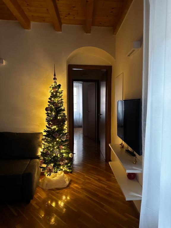 LB - Stella Apartment Center - Bed and Breakfast Bergamo