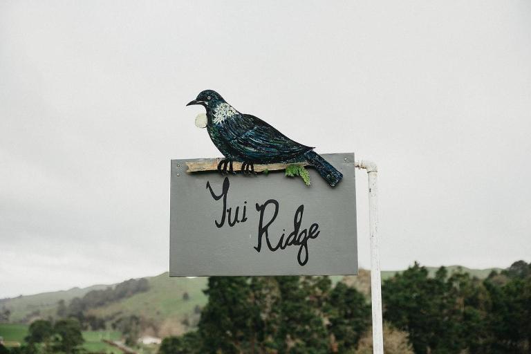 Tui Ridge Cottage - Chambres d'hôtes Waiterimu