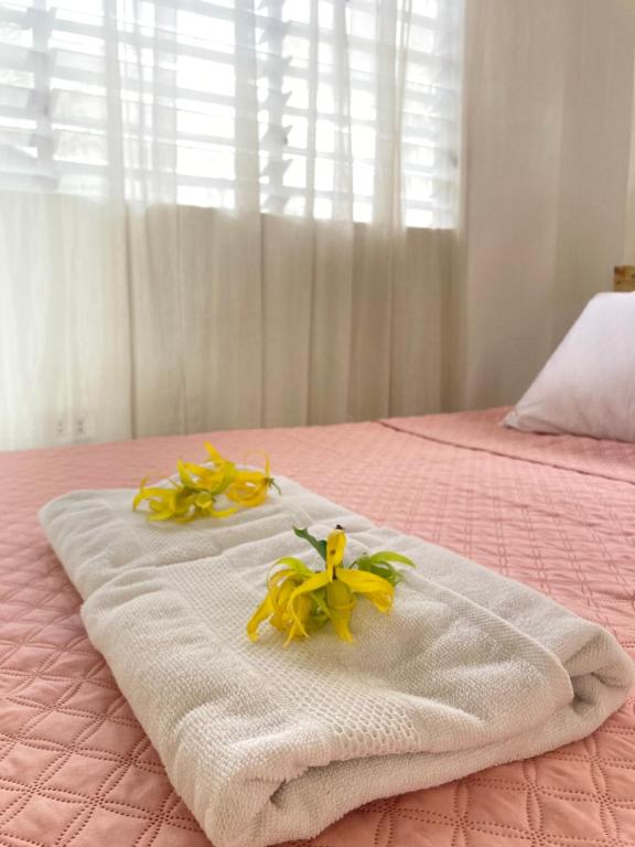 Balai Lawaan Cozy Homestay - B&B Iloilo City