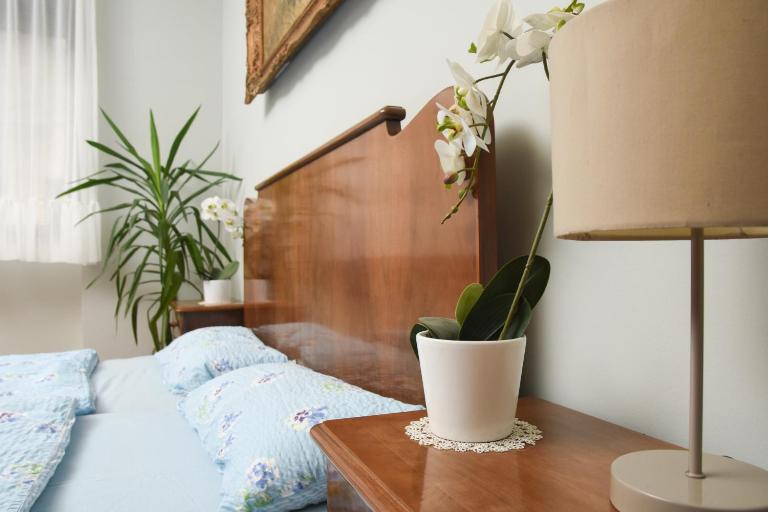Apartman Woolf - Chambres d'hôtes Senta